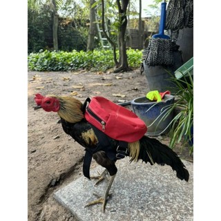 (Tặng kèm quà) Gà thú bông 3D - GÀ ĐÁ - GÀ TẬP LỰC 🐓