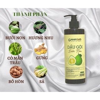 Dầu gội Bưởi non GreenLab - Dầu gội Cao Bồ kết - Dầu xả Dừa bưởi nha đam - Chai 500ml