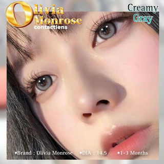 Creamy Gray ( Có tặng khay đựng lens )