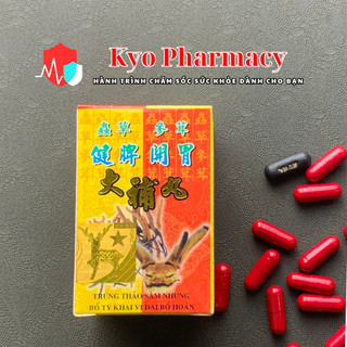 Trùng thảo sâm nhung bổ tỳ khai vị đại bổ hoàn- Hỗ trợ tăng cân