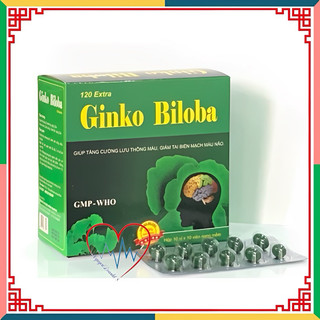 GINKGO BILOBA 120 mg  Vinaphar - Hộp 100 Viên - Tăng cường lưu thống máu, Hoạt huyết dưỡng não