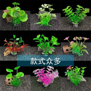Cây nhựa trang trí bể cá cảnh giá rẻ - Cây mini trang trí bể cá