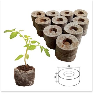 20 Viên Nén Xơ Dừa Hàng Loại 1 ( dùng để ươm hạt, trồng cây nảy mầm 100% )