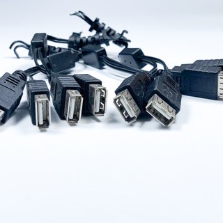 Đầu Jack USB A Đực