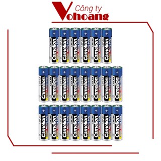 22 pin camelion aa r6p không sạc