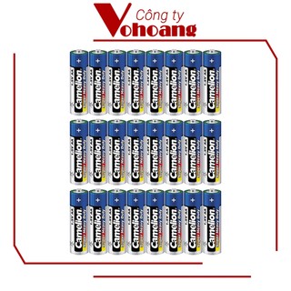 24 pin camelion aa r6p không sạc