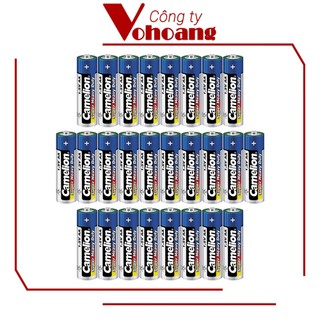 26 pin camelion aa r6p không sạc