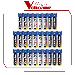 28 pin camelion aa r6p không sạc