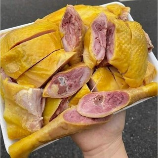 GÀ TA TAM KỲ Ủ MUỐI