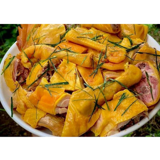 GÀ TA TAM KỲ Ủ MUỐI