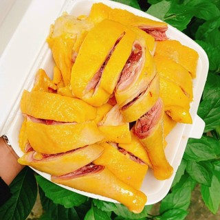 GÀ TA TAM KỲ Ủ MUỐI