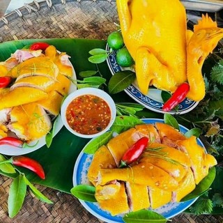 GÀ TA TAM KỲ Ủ MUỐI