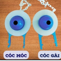 Cóc két nước bồn cầu, cóc móc và cóc gài. avina06
