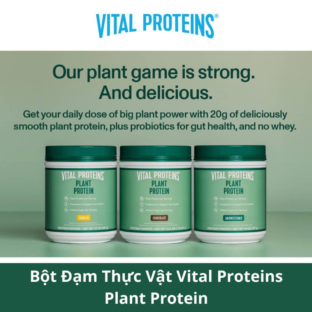 Bột Đạm Thực Vật Vital Proteins Plant Protein Chocolate / Vanilla vị socola và vani
