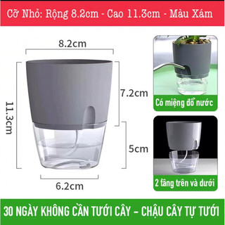 Chậu trồng cây 2 tầng tự hút nước thế hệ mới, chậu trồng cây thuỷ sinh, để bàn cao cấp