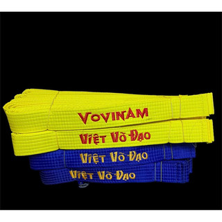Đai Vovinam phong trào