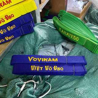 Đai Vovinam phong trào