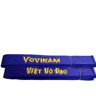 Đai Vovinam phong trào