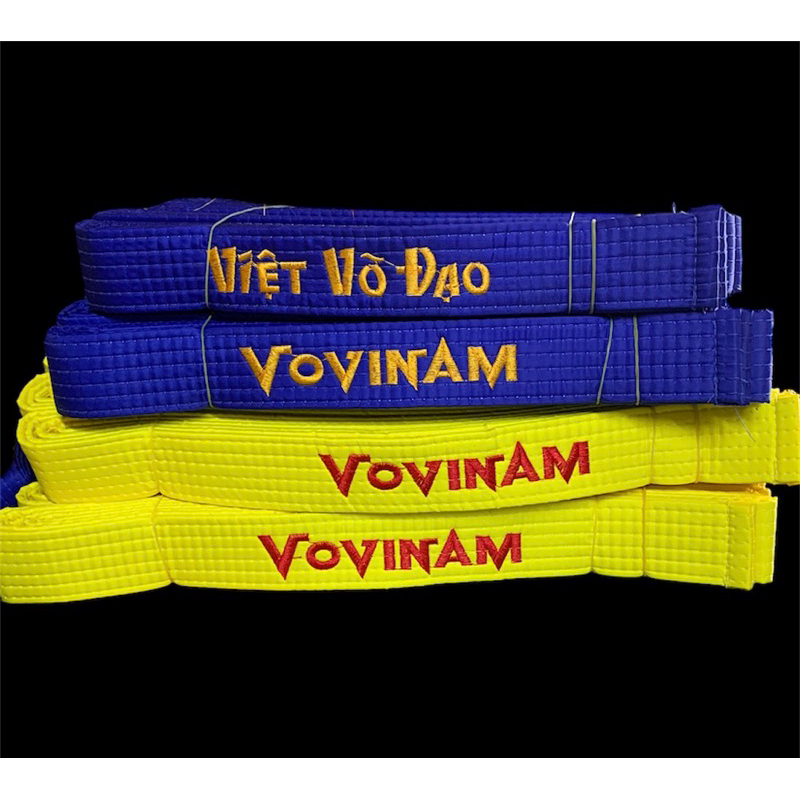 Đai Vovinam phong trào
