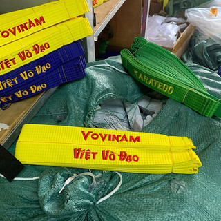 Đai Vovinam phong trào