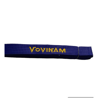 Đai Vovinam phong trào