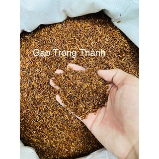 Gạo Lứt Huyết Rồng