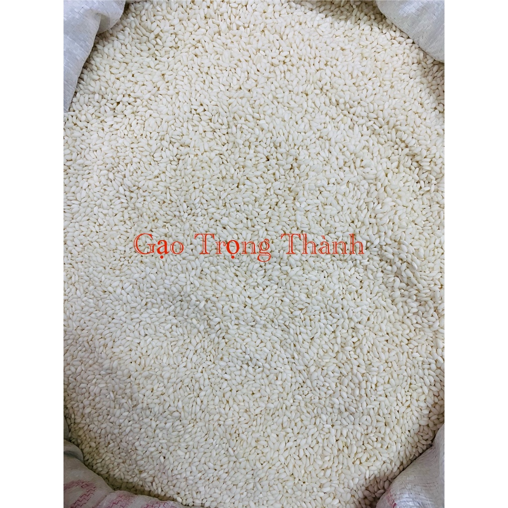 Gạo Nếp Cái Hoa Vàng ( Nếp Bắc 1ký )