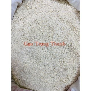 Gạo nếp cái hoa vàng