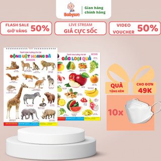 Tranh treo tường cho bé học về thế giới xung quang bộ 14 chủ đề đa dạng song ngữ- Đồ chơi giúp phát triển trí tuệ combo