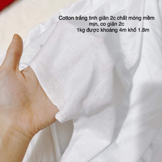 Vải thun cotton 2c mỏng mềm mịn, co giãn 2 chiều