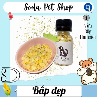 Bắp Dẹp Cho Hamster