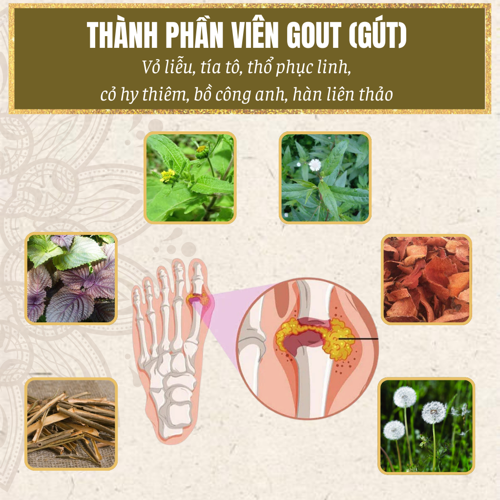 Viên uống gout GÚT Tiệm thuốc Bắc cụ Lang Ngoạn phòng ngừa và cải thiện