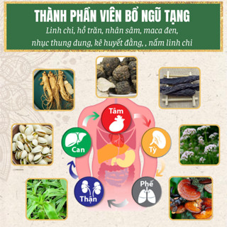 Viên uống bổ ngũ tạng Tiệm Thuốc Bắc cụ Lang Ngoạn