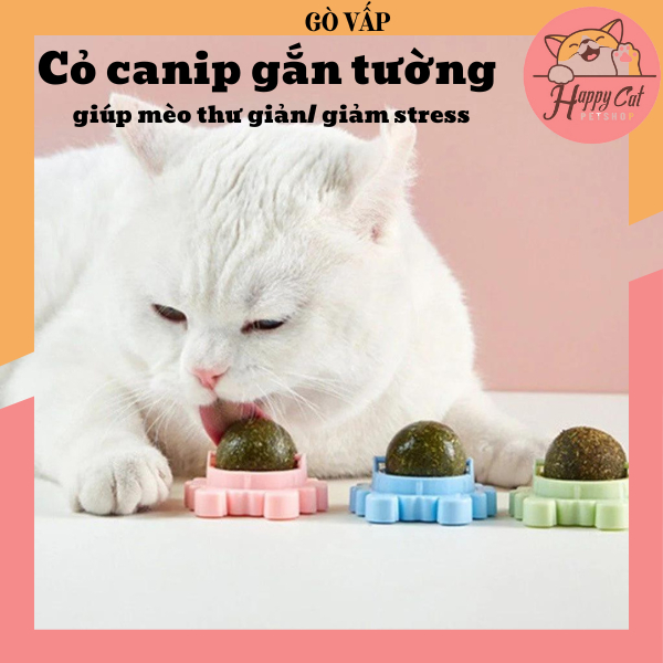 Cỏ Canip Gắn Tường Cho Mèo