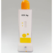 Que test bệnh Coronavirus ở chó