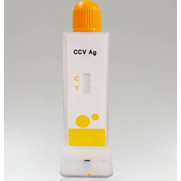 Que test bệnh Coronavirus ở chó