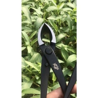 KÌM CẠP TRÒN, CẠP XÉO BONSAI NHẬT