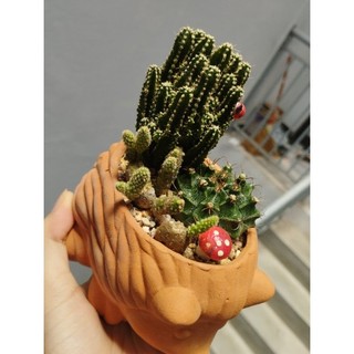 Đá rải mặt, trộn đất pumice