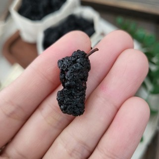 Dâu tằm (Tang thầm) sấy khô