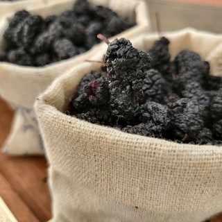Dâu tằm (Tang thầm) sấy khô
