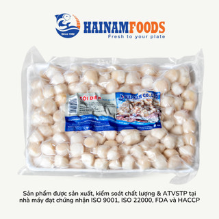CỒI SÒ ĐIỆP 80-120 - 1KG HẢI NAM [Giao hàng siêu tốc TPHCM 1-2 giờ]