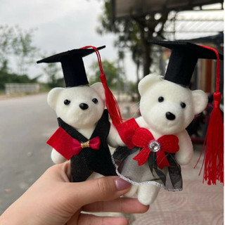Gấu cử nhân NAM-NỮ, gấu tiến sĩ, gấu bông tốt nghiệp14cm, quà tặng tốt nghiệp,hoa gấu tốt nghiệp, gấu cử nhân tốt nghệp