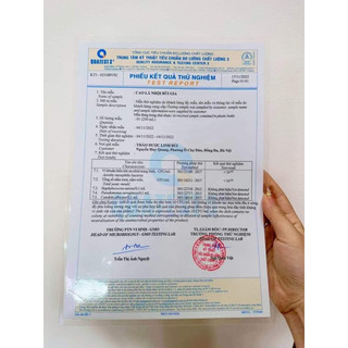 Bột Nhội Thần Thánh ( cao lá nhội khô )