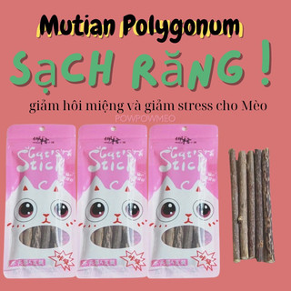 Cây gỗ bạc hà catnip cho mèo gặm giúp sạch răng thơm miệng