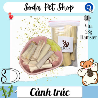 Cành Trúc Mài Răng Cho Hamster