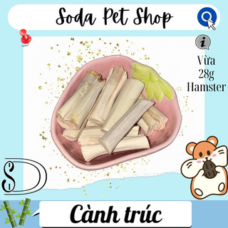 Cành Trúc Mài Răng Cho Hamster