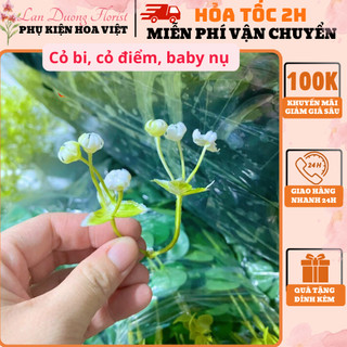 Cỏ bi, cỏ điểm trang trí giỏ hoa quả, bó hoa, Cỏ bi trang trí, làm vòng kỉ yếu