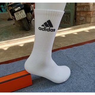 Tất Champion cao det kim - Tất vớ thể thao cổ cao Streetwear nam nữ