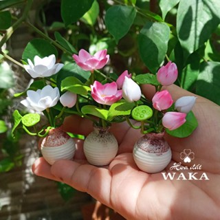 Mô Hình Chậu Sen 01 Mini Tỉ Lệ 1/12