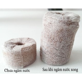 Viên nén xơ dừa ươm hạt giống ++